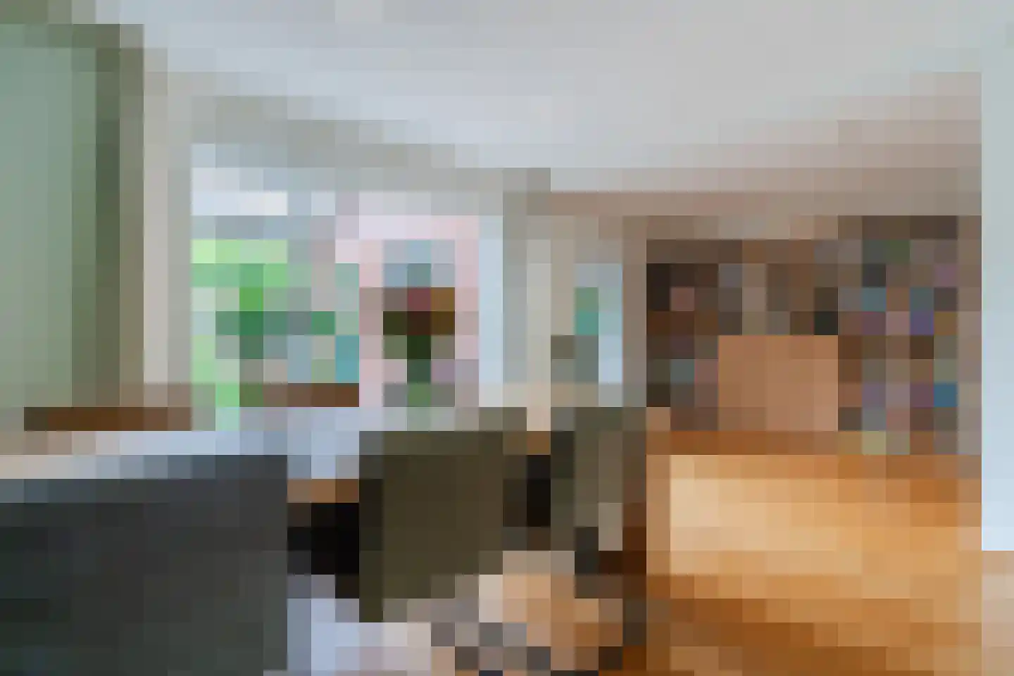 Dr. Schaepmanlaan 30 Zwolle thumbnail 11
