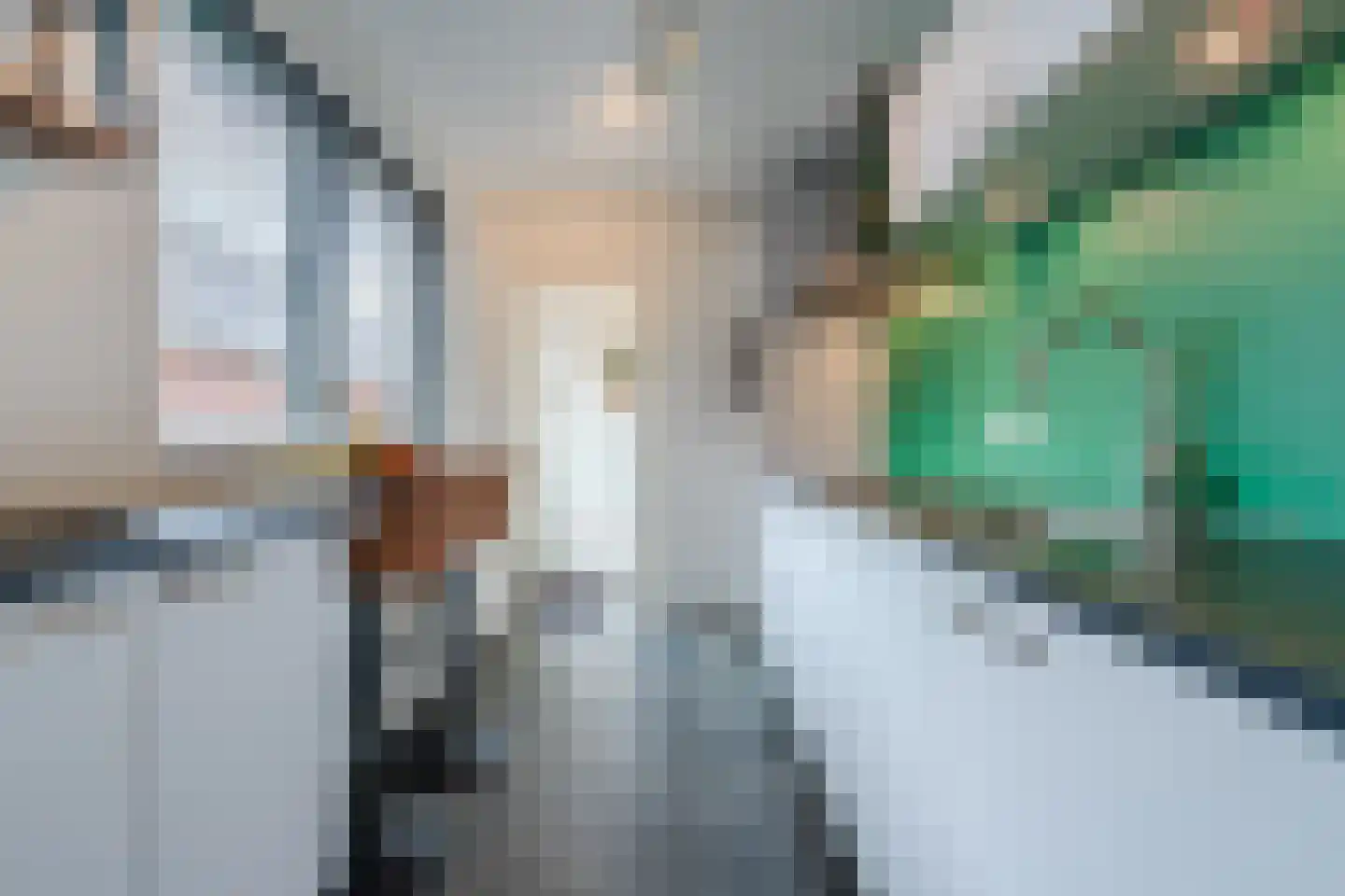 Dr. Schaepmanlaan 30 Zwolle thumbnail 13