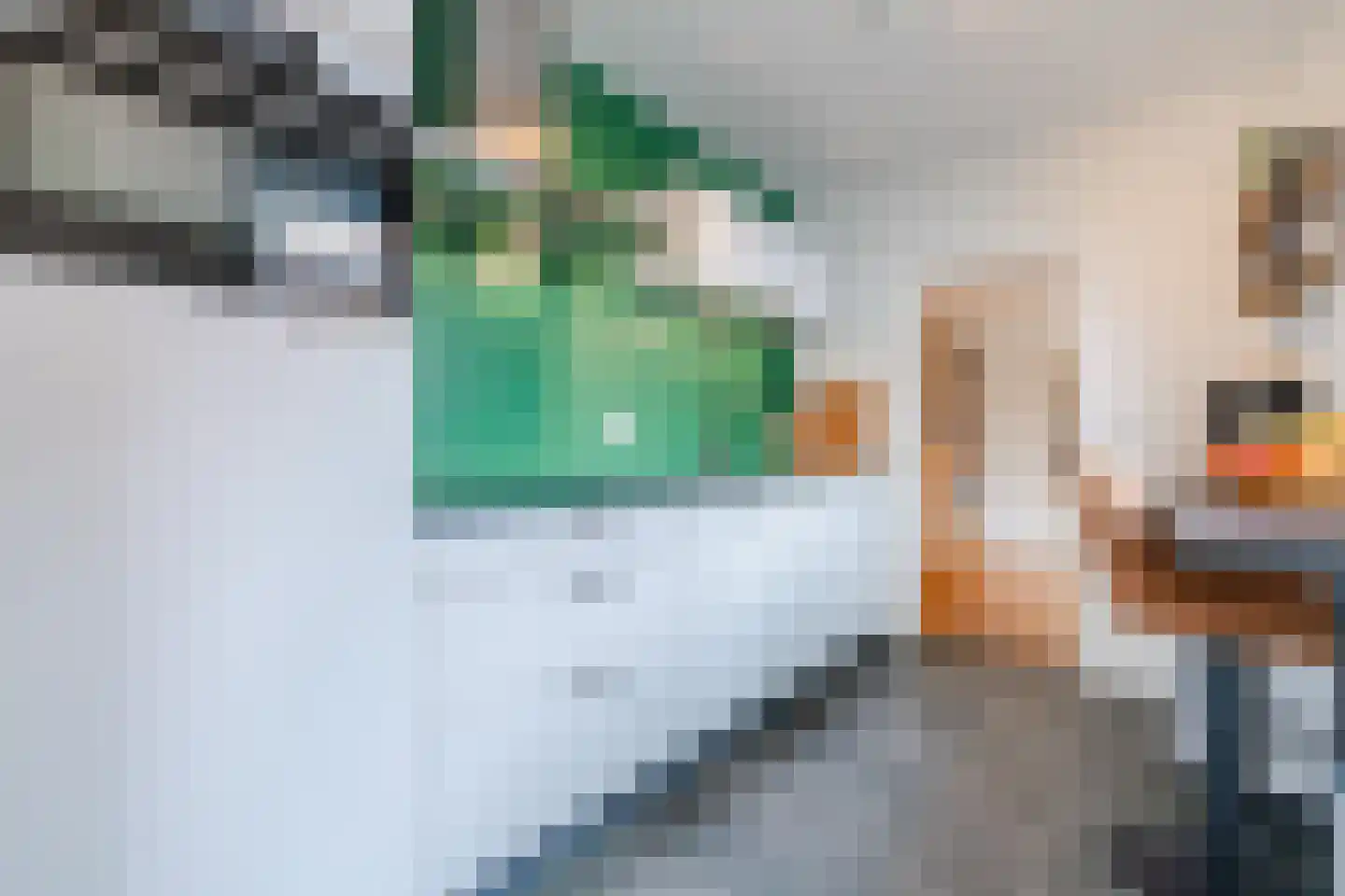Dr. Schaepmanlaan 30 Zwolle thumbnail 15
