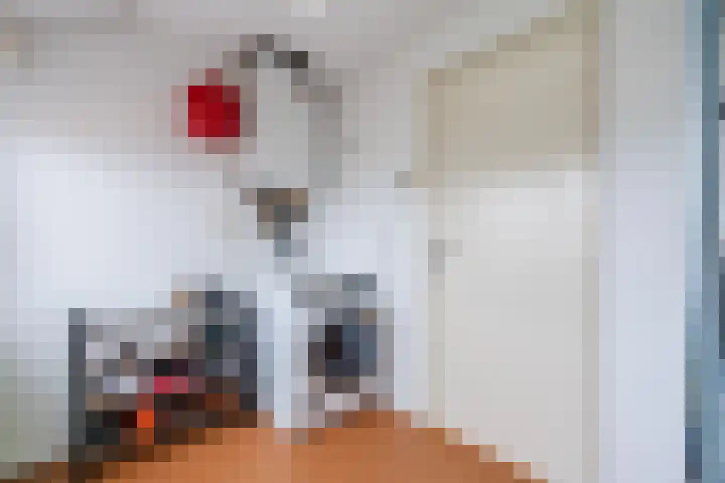 Dr. Schaepmanlaan 30 Zwolle thumbnail 36