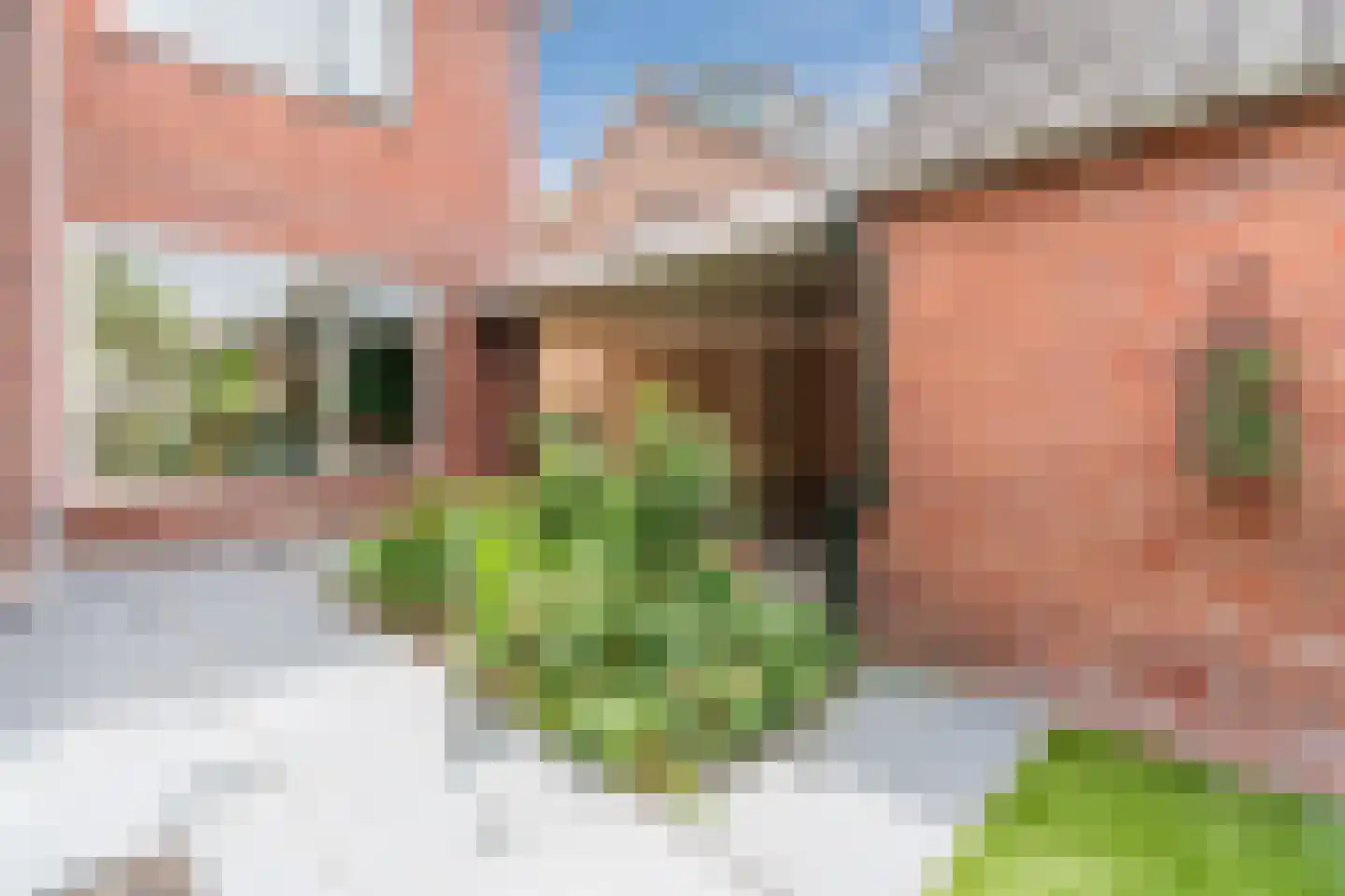 Dr. Schaepmanlaan 30 Zwolle thumbnail 38