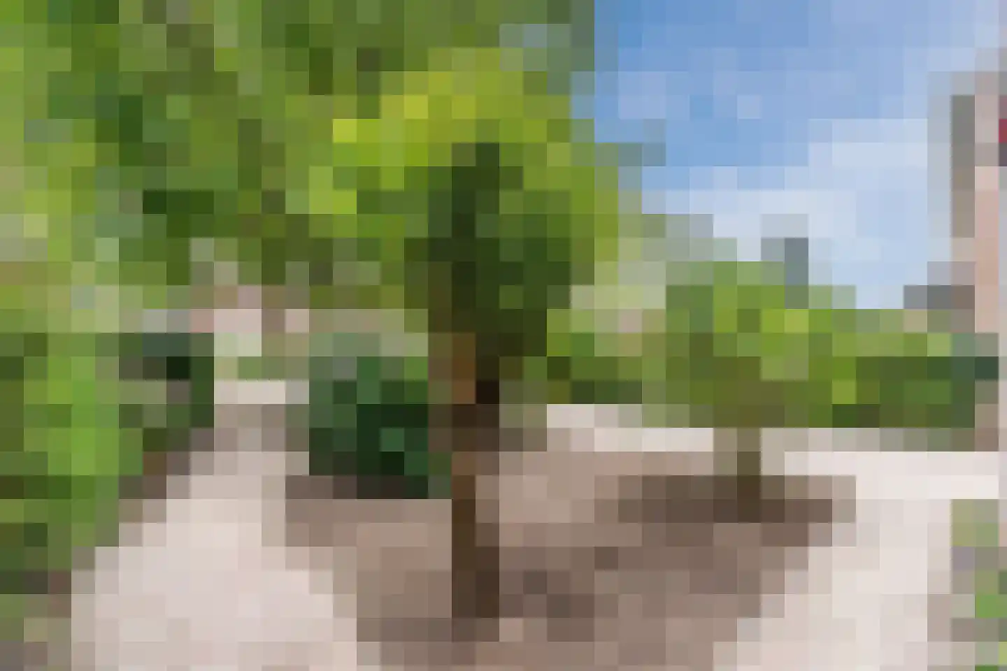 Dr. Schaepmanlaan 30 Zwolle thumbnail 4