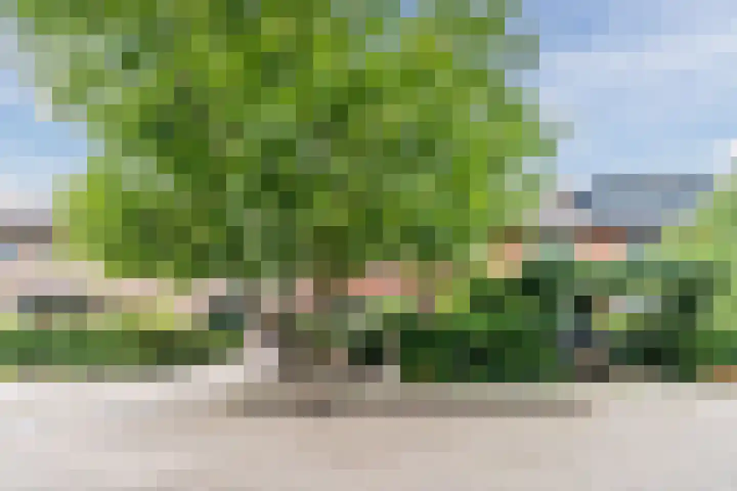 Dr. Schaepmanlaan 30 Zwolle thumbnail 43