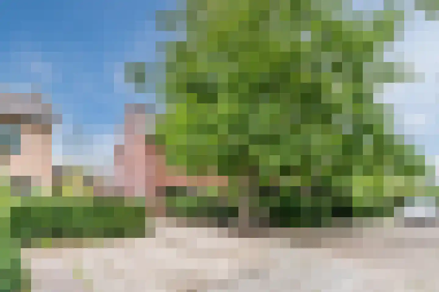 Dr. Schaepmanlaan 30 Zwolle thumbnail 44