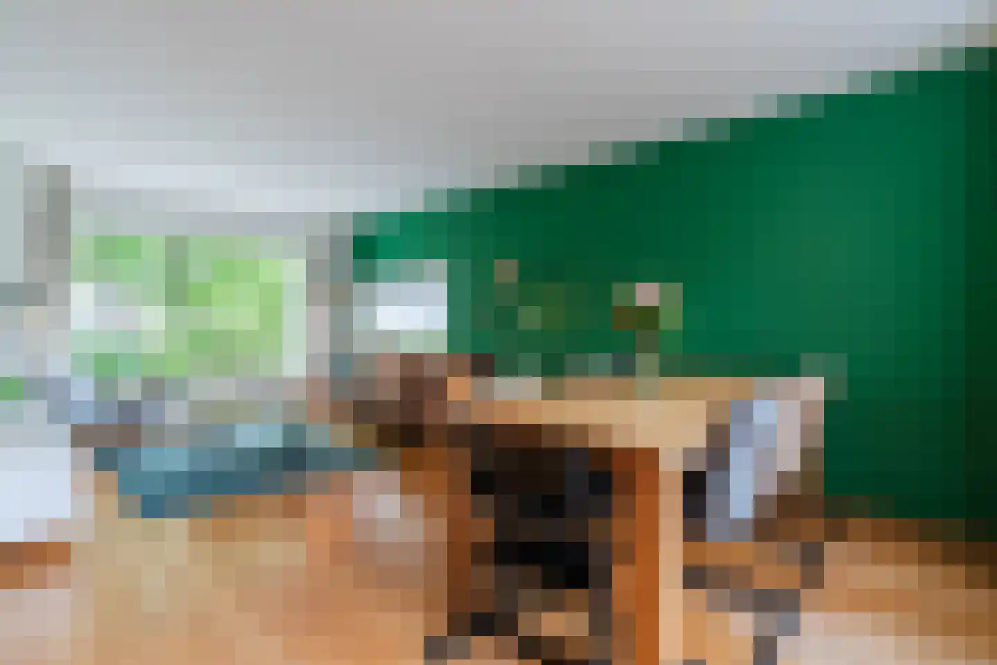Dr. Schaepmanlaan 30 Zwolle thumbnail 8