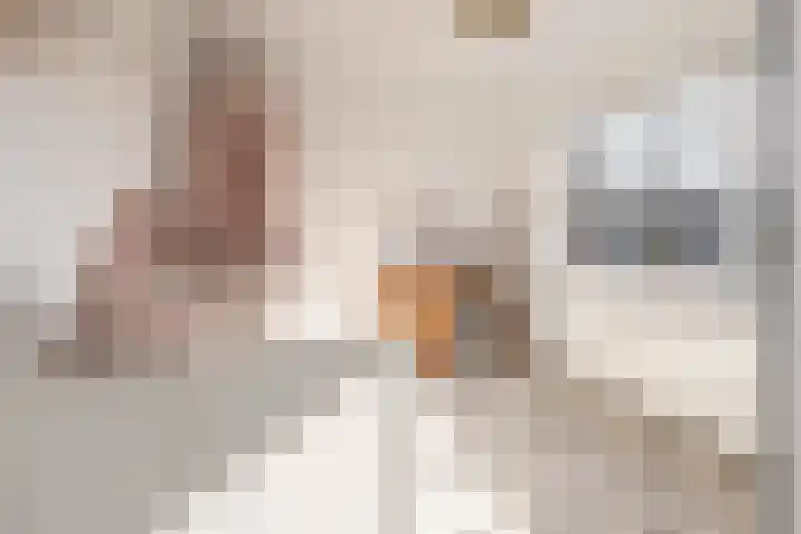 dr. Schaepmanlaan 31 Bussum thumbnail 21