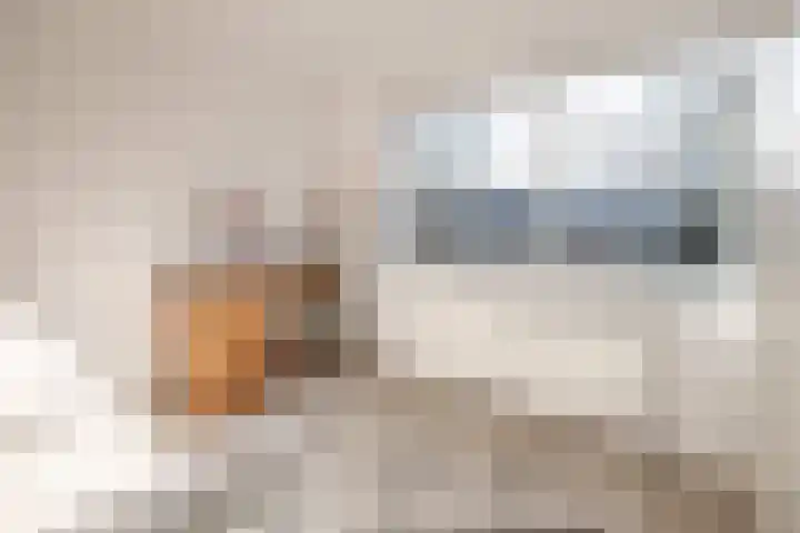 dr. Schaepmanlaan 31 Bussum thumbnail 23