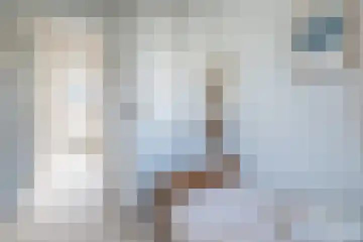 dr. Schaepmanlaan 31 Bussum thumbnail 25