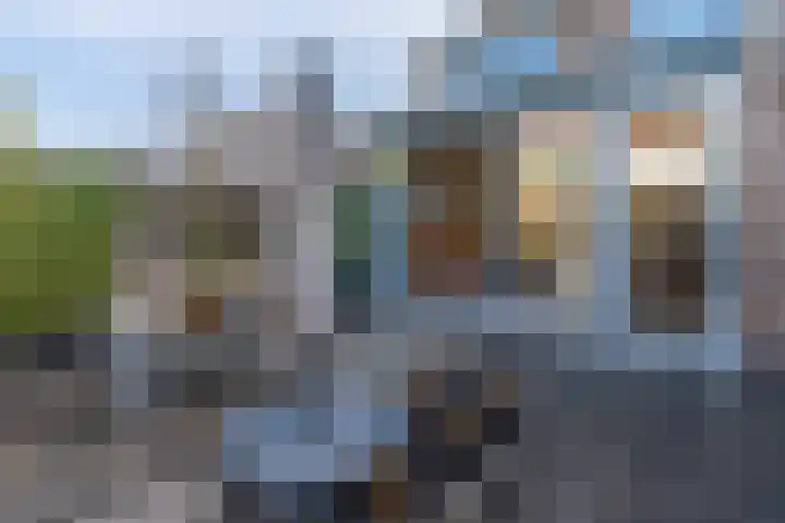 dr. Schaepmanlaan 31 Bussum thumbnail 34