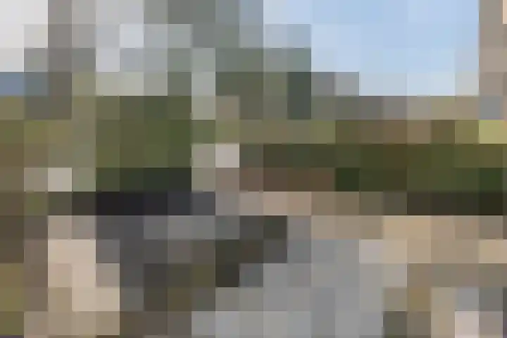 dr. Schaepmanlaan 31 Bussum thumbnail 37
