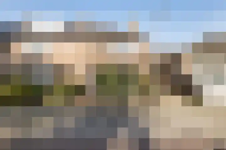 dr. Schaepmanlaan 31 Bussum thumbnail 38