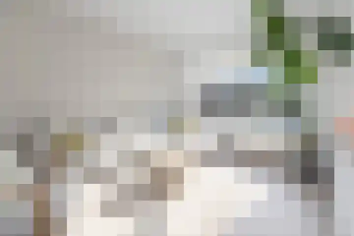 dr. Schaepmanlaan 31 Bussum thumbnail 4