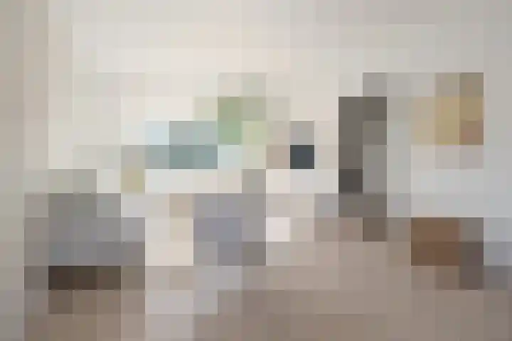 dr. Schaepmanlaan 31 Bussum thumbnail 5