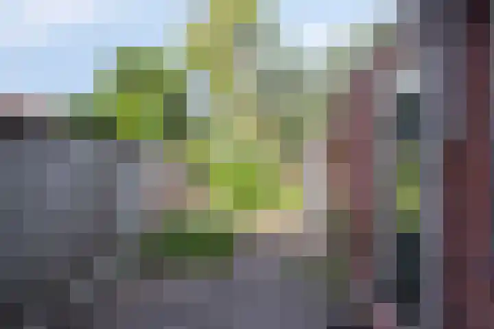 Dr. Schaepmanlaan 36 Enschede thumbnail 13