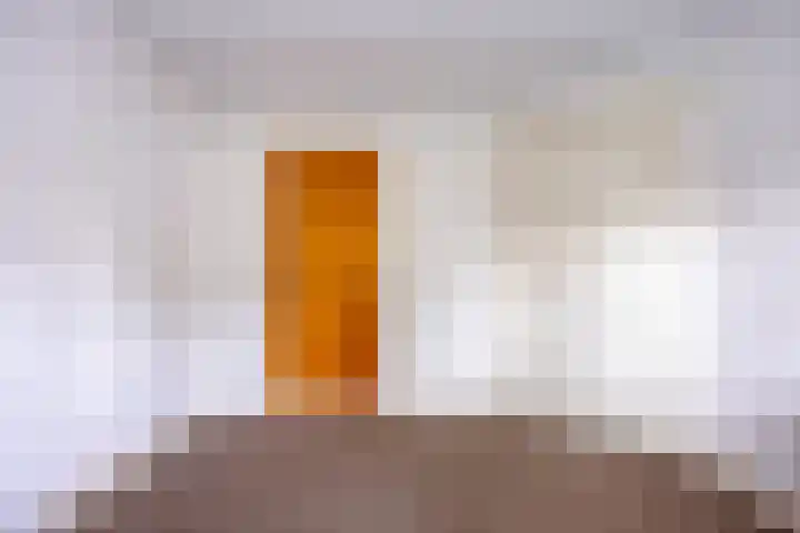 Dr. Schaepmanlaan 36 Enschede thumbnail 19