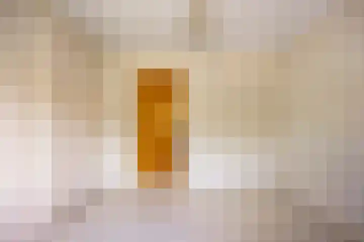 Dr. Schaepmanlaan 36 Enschede thumbnail 20