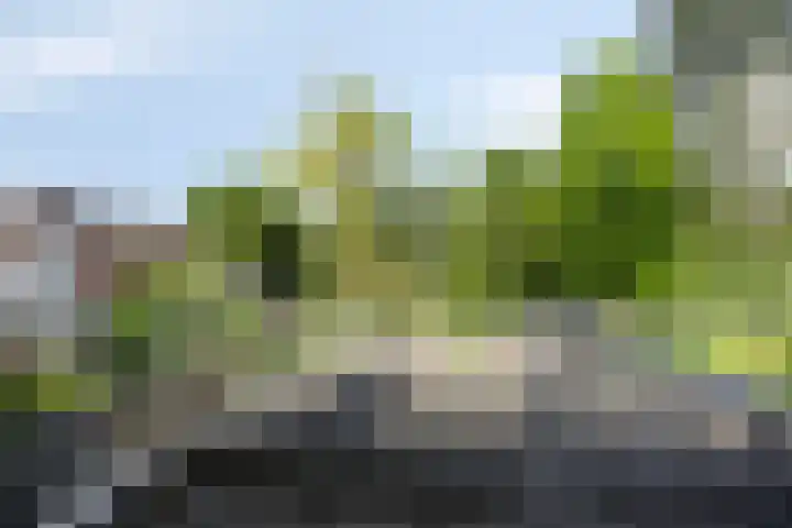 Dr. Schaepmanlaan 36 Enschede thumbnail 22