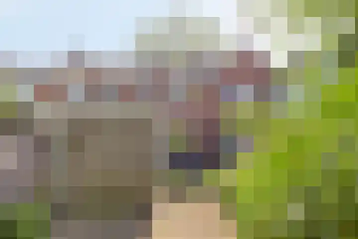 Dr. Schaepmanlaan 36 Enschede thumbnail 4