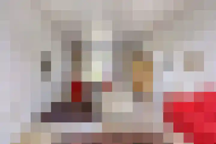 Dr. Schaepmanlaan 36 Enschede thumbnail 7