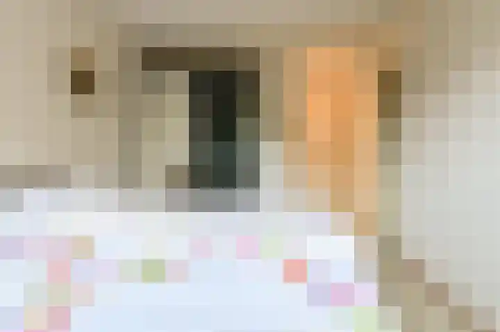 Dr. Schaepmanlaan 36 Heemstede thumbnail 20