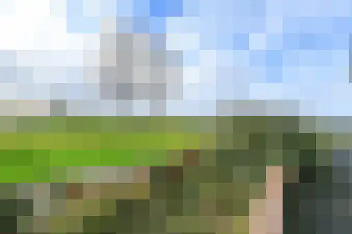 Dr. Schaepmanlaan 36 Heemstede thumbnail 32