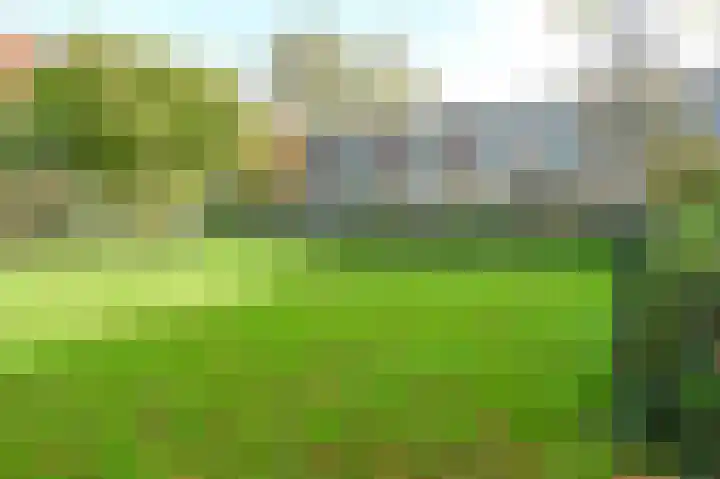 Dr. Schaepmanlaan 36 Heemstede thumbnail 39
