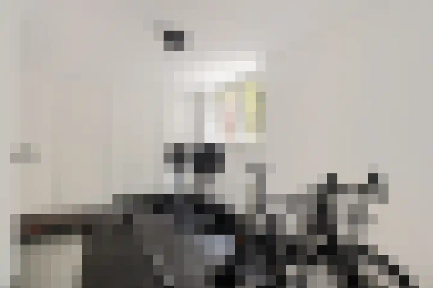 dr. Schaepmanlaan 37 Bussum thumbnail 11