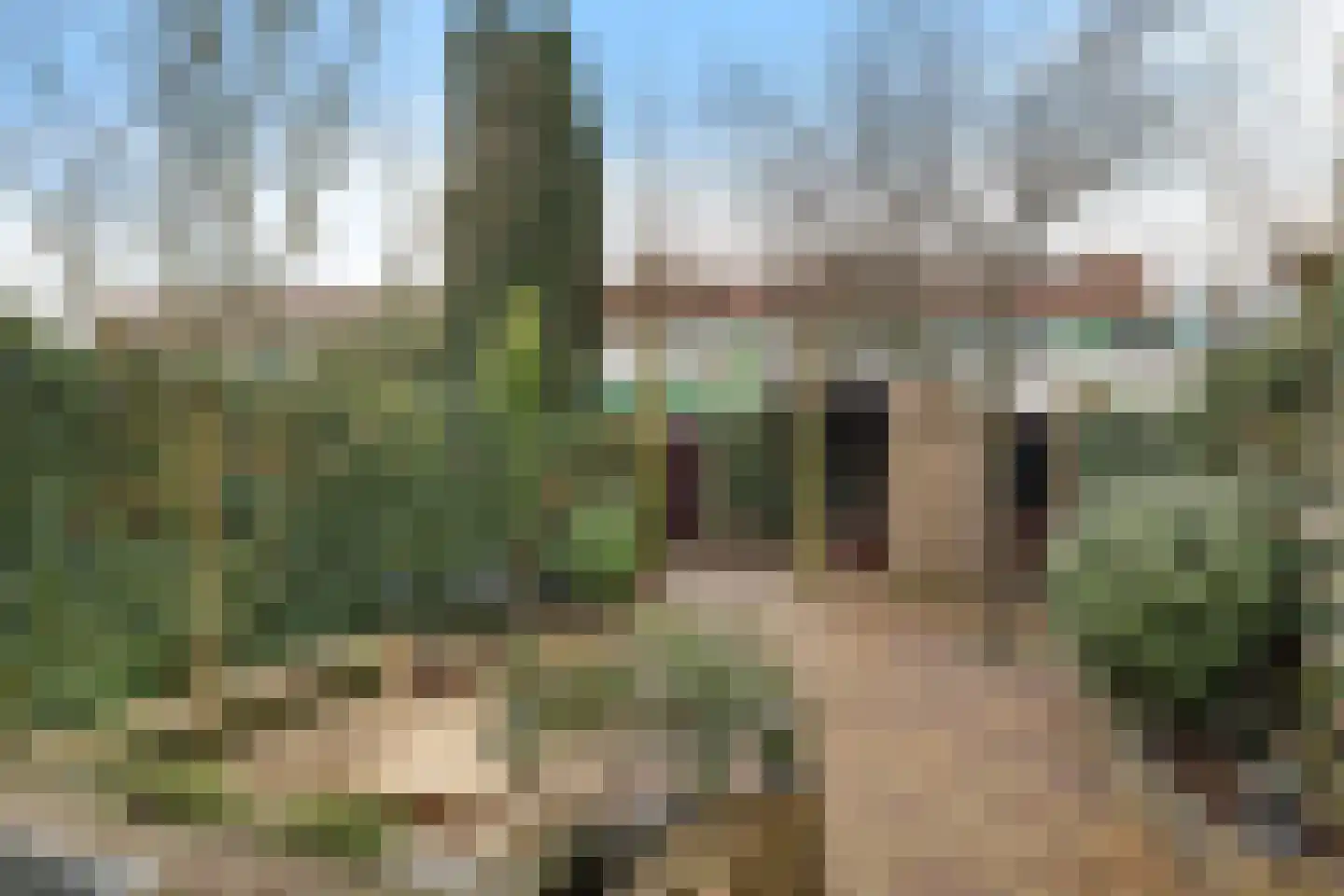 dr. Schaepmanlaan 37 Bussum thumbnail 27