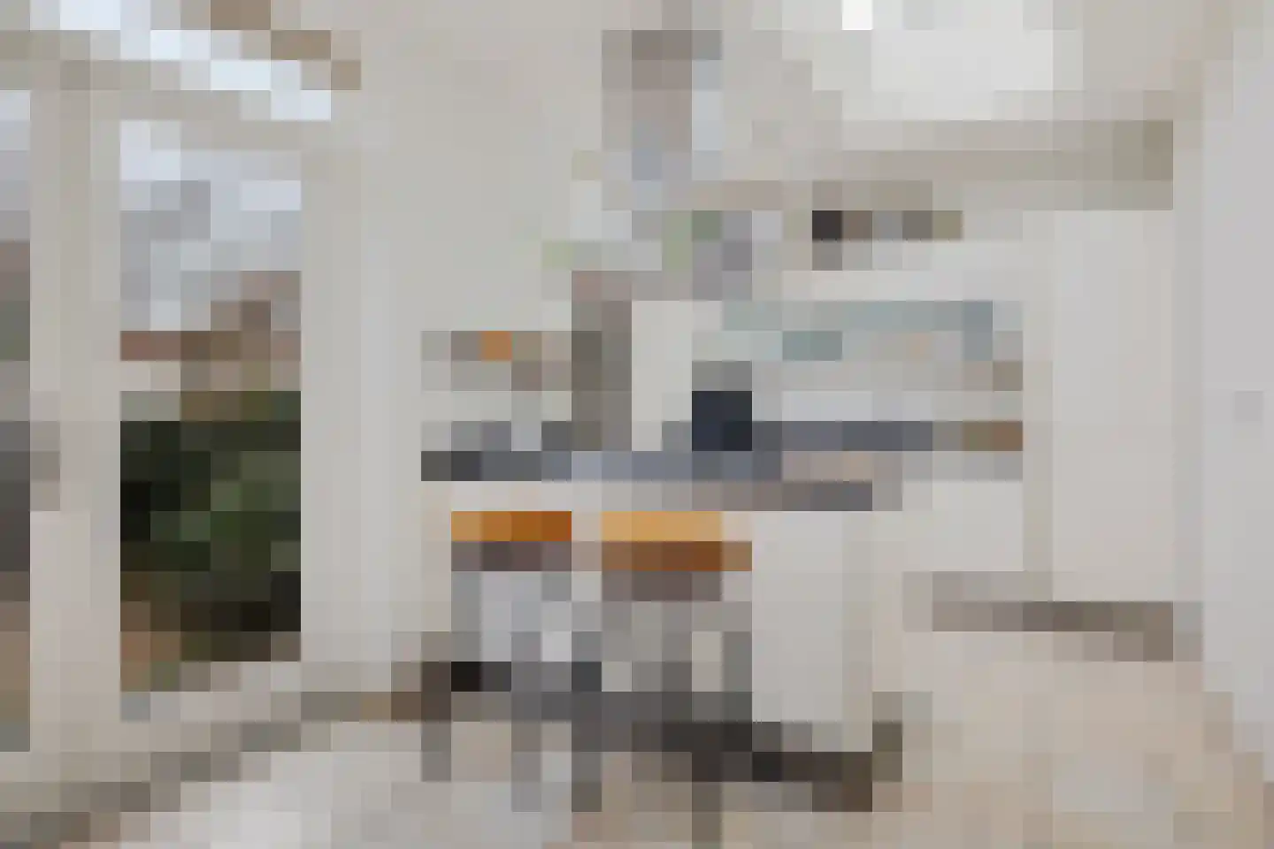 dr. Schaepmanlaan 37 Bussum thumbnail 8