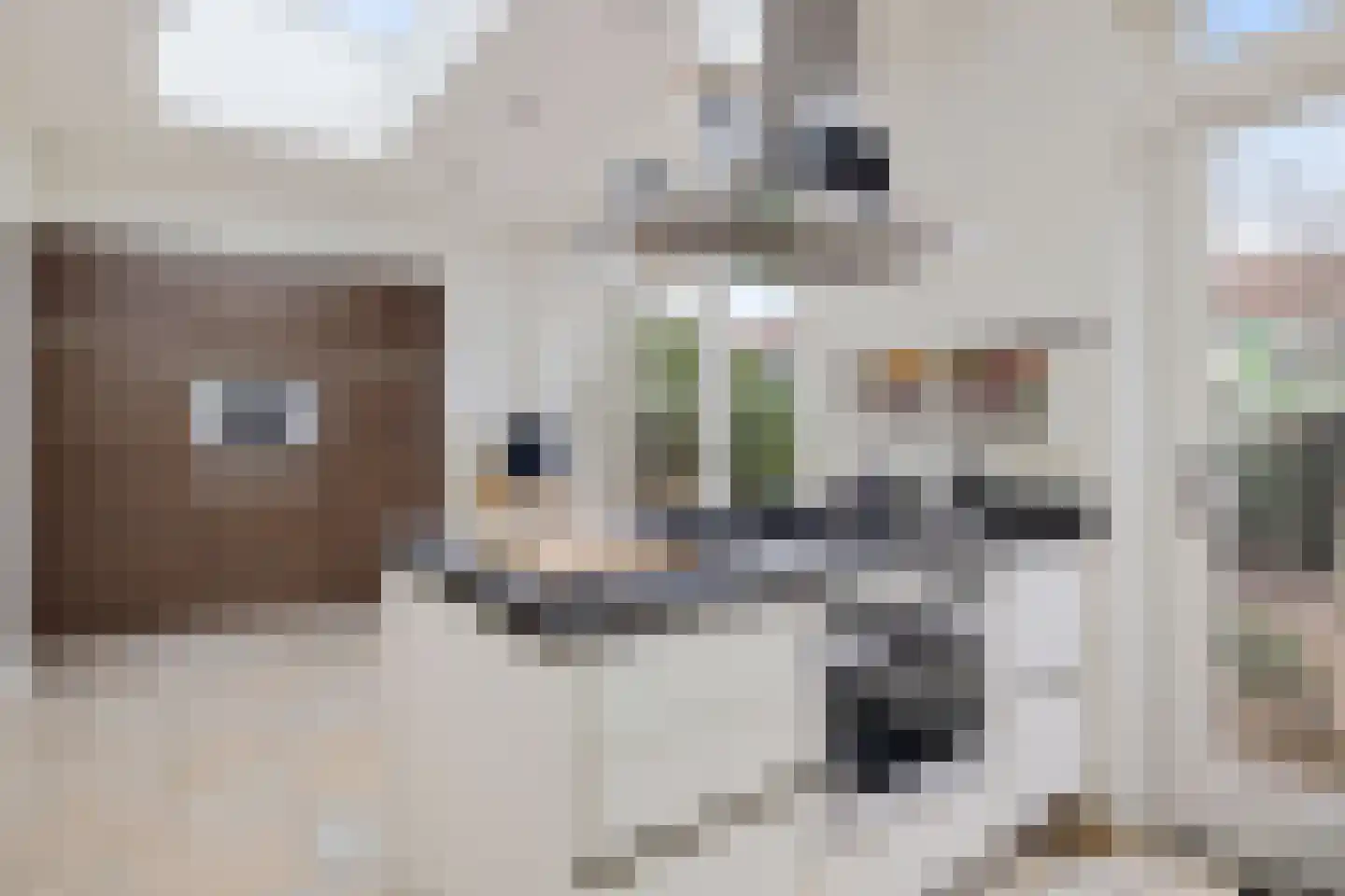 dr. Schaepmanlaan 37 Bussum thumbnail 9