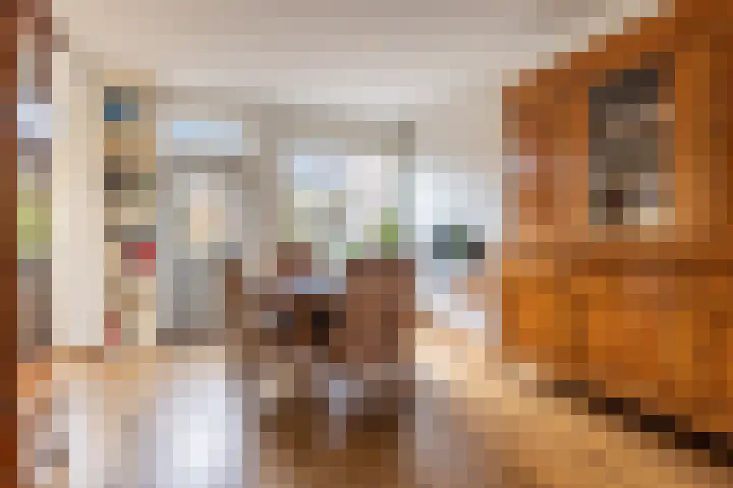Dr. Schaepmanlaan 39 Arnhem thumbnail 18