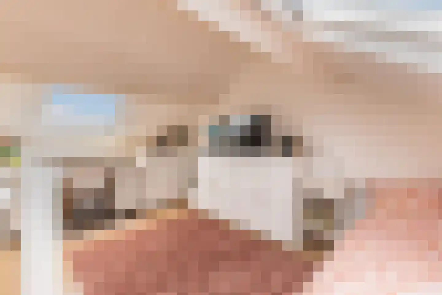 Dr. Schaepmanlaan 39 Arnhem thumbnail 30