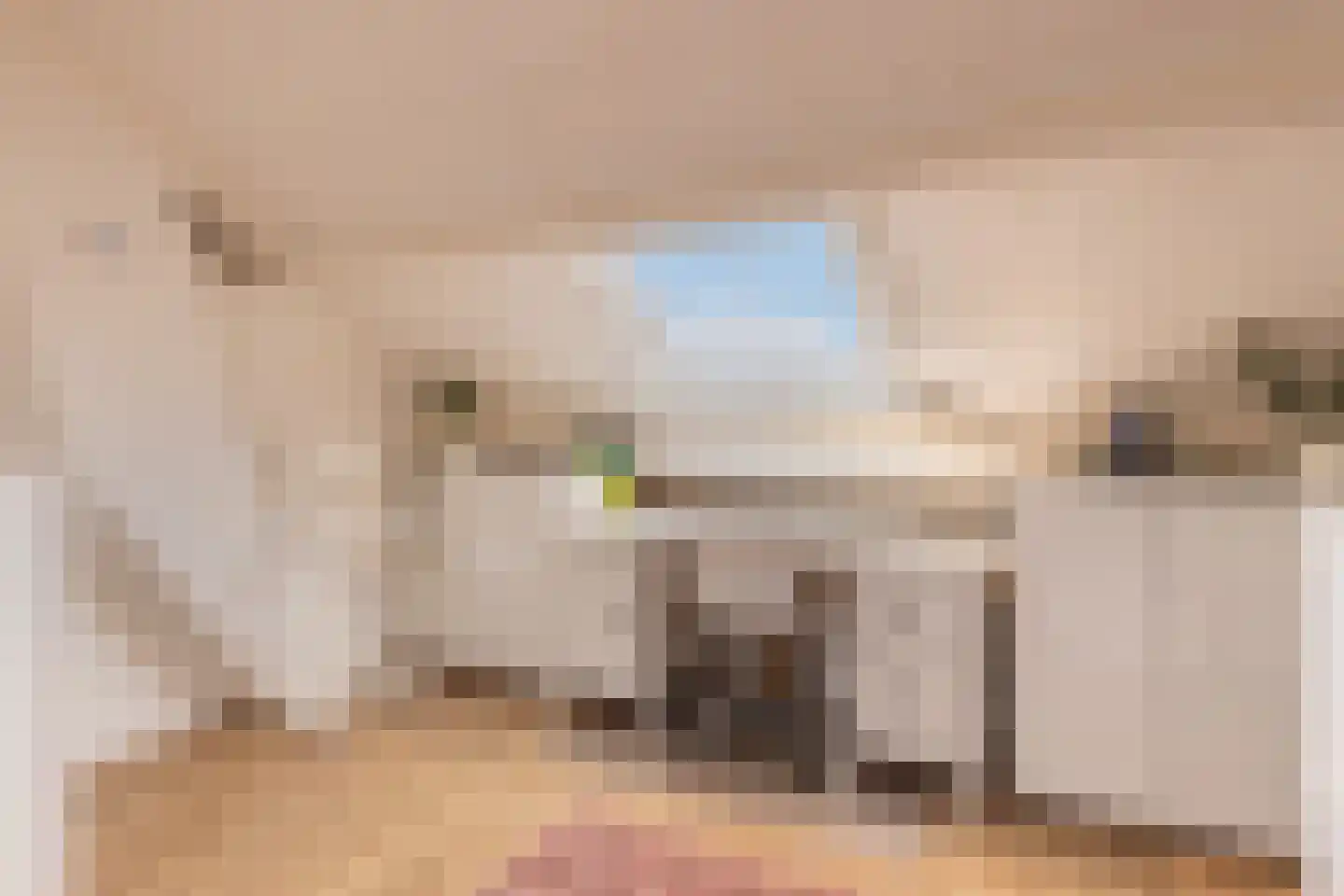 Dr. Schaepmanlaan 39 Arnhem thumbnail 31