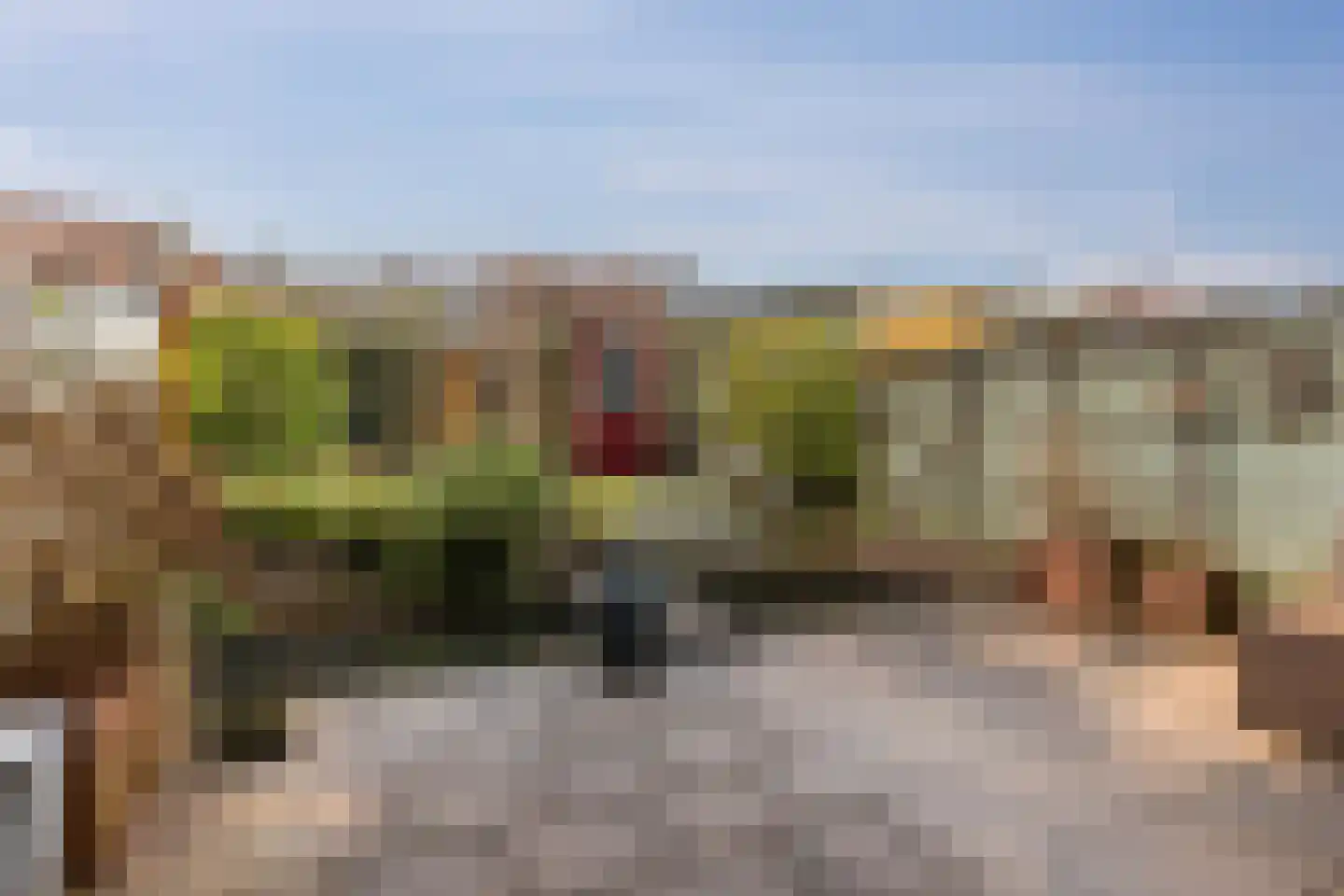 Dr. Schaepmanlaan 39 Arnhem thumbnail 32