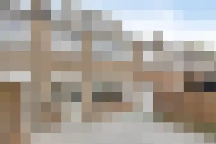 Dr. Schaepmanlaan 4 Waalwijk thumbnail 24