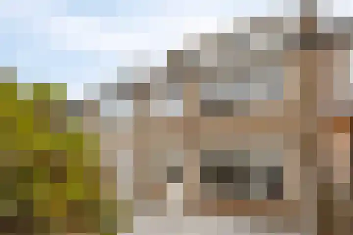 Dr. Schaepmanlaan 4 Waalwijk thumbnail 25