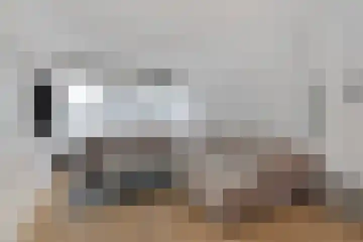 Dr. Schaepmanlaan 4 Waalwijk thumbnail 6