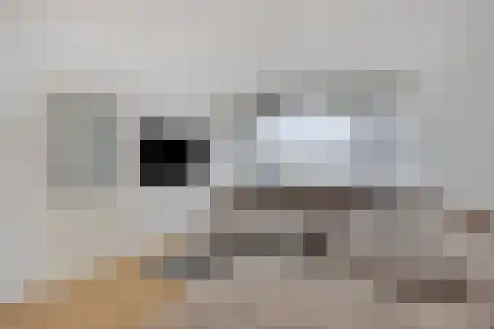 Dr. Schaepmanlaan 4 Waalwijk thumbnail 7