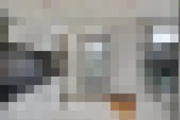 Dr. Schaepmanlaan 45 Veghel thumbnail 10