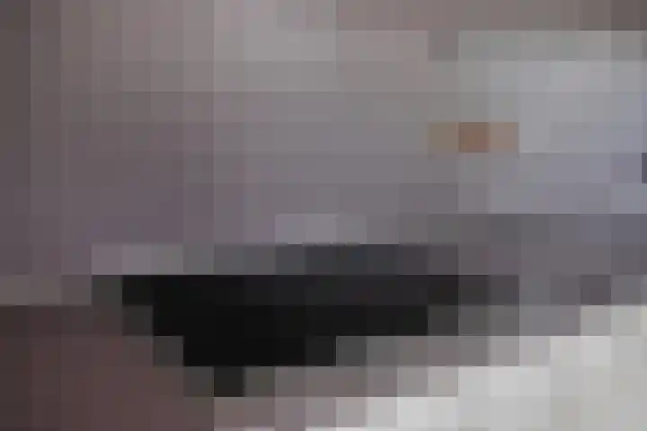 Dr. Schaepmanlaan 45 Veghel thumbnail 11