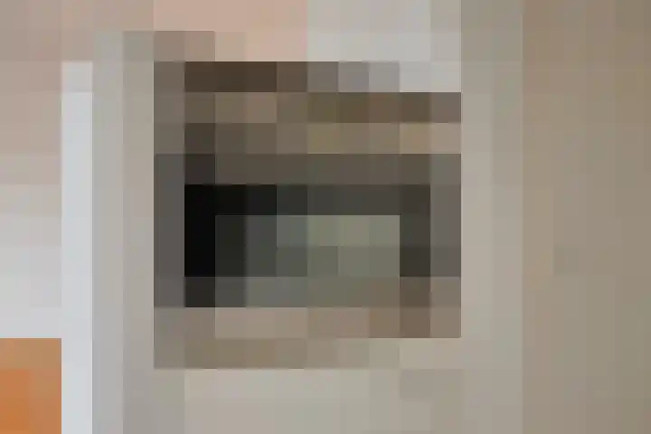 Dr. Schaepmanlaan 45 Veghel thumbnail 12