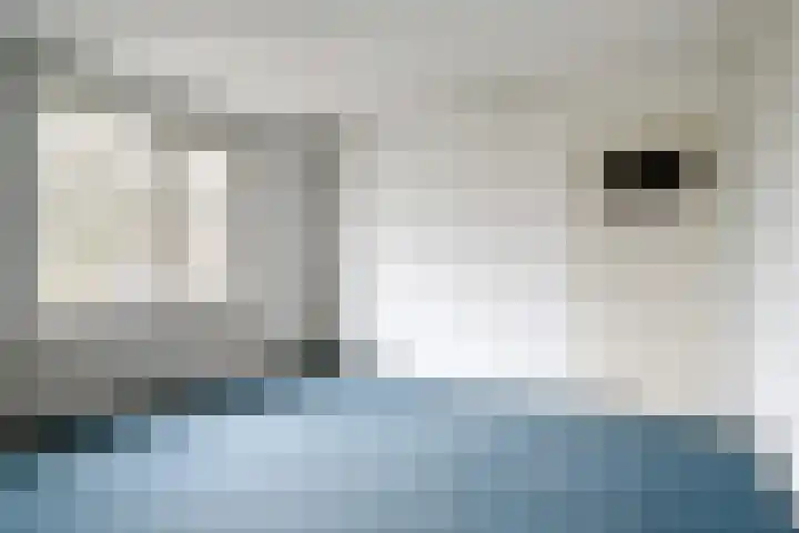 Dr. Schaepmanlaan 45 Veghel thumbnail 13