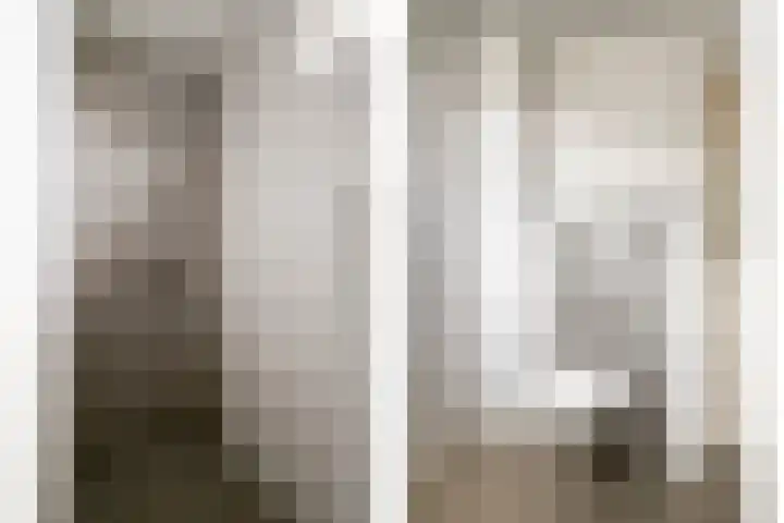 Dr. Schaepmanlaan 45 Veghel thumbnail 16