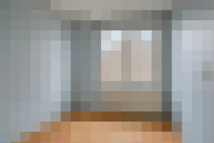 Dr. Schaepmanlaan 45 Veghel thumbnail 19