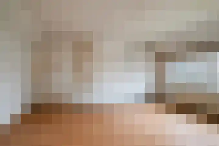 Dr. Schaepmanlaan 45 Veghel thumbnail 20