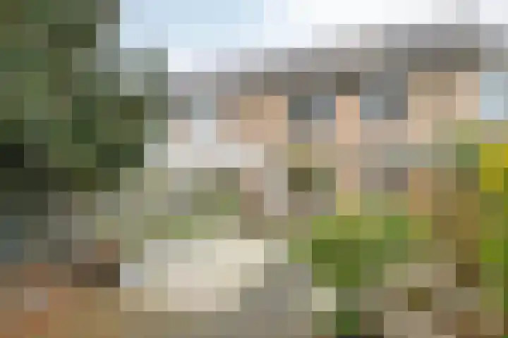 Dr. Schaepmanlaan 45 Veghel thumbnail 25