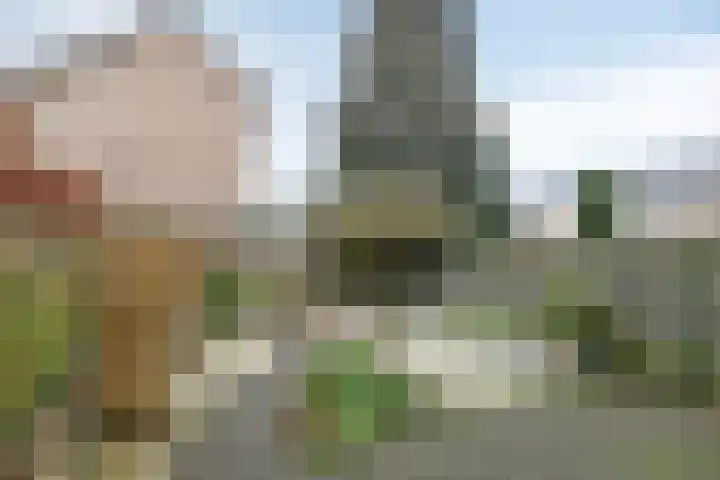 Dr. Schaepmanlaan 45 Veghel thumbnail 26