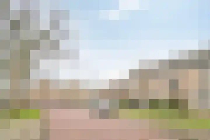 Dr. Schaepmanlaan 45 Veghel thumbnail 29