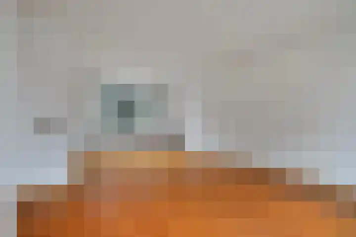 Dr. Schaepmanlaan 45 Veghel foto 3
