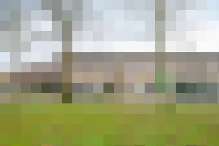 Dr. Schaepmanlaan 45 Veghel thumbnail 30